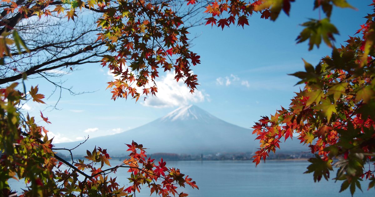 Mount Fuji seen through autumn maple leaves in Japan