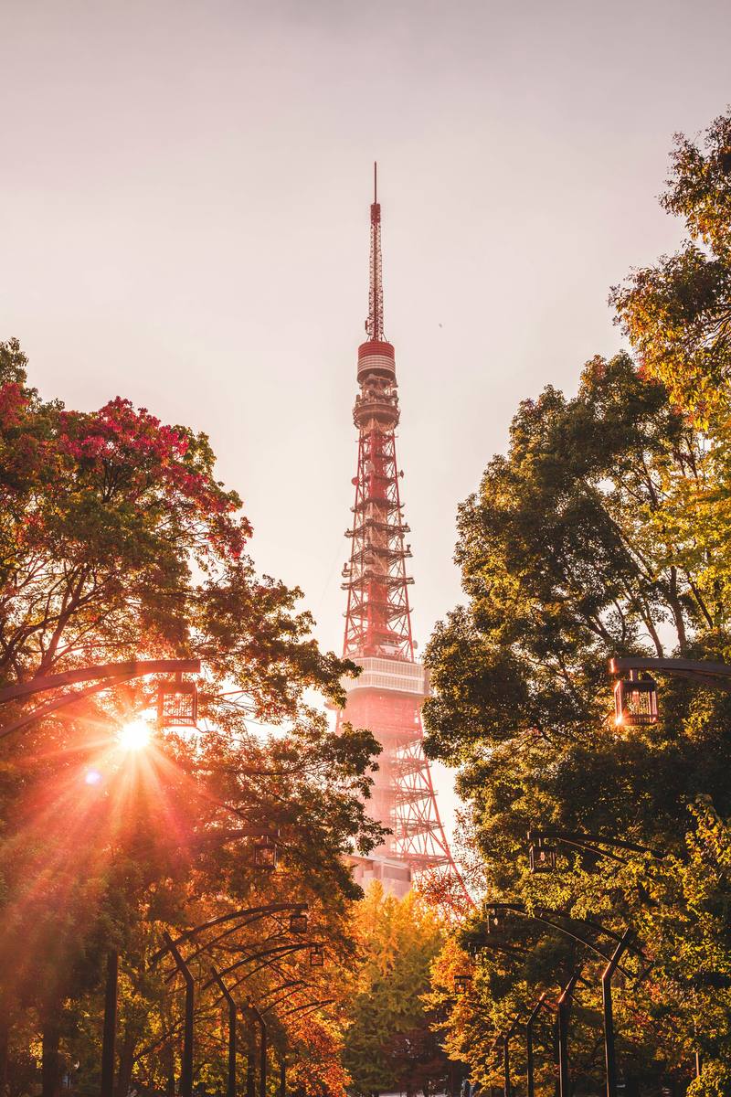 Tokyo Tower framed by autumn trees in Japan